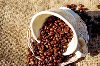 Кофейное искусство: как правильно выбрать зерна и приготовить идеальный напиток