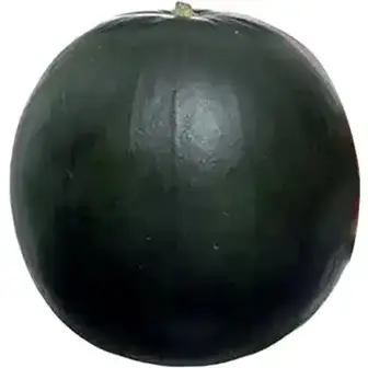 Кавун Вогник ваговий