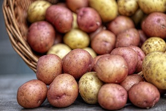 Продолжить «жизнь»: как правильно хранить картошку дома