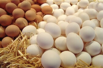 Коричневі чи білі: які яйця краще купувати