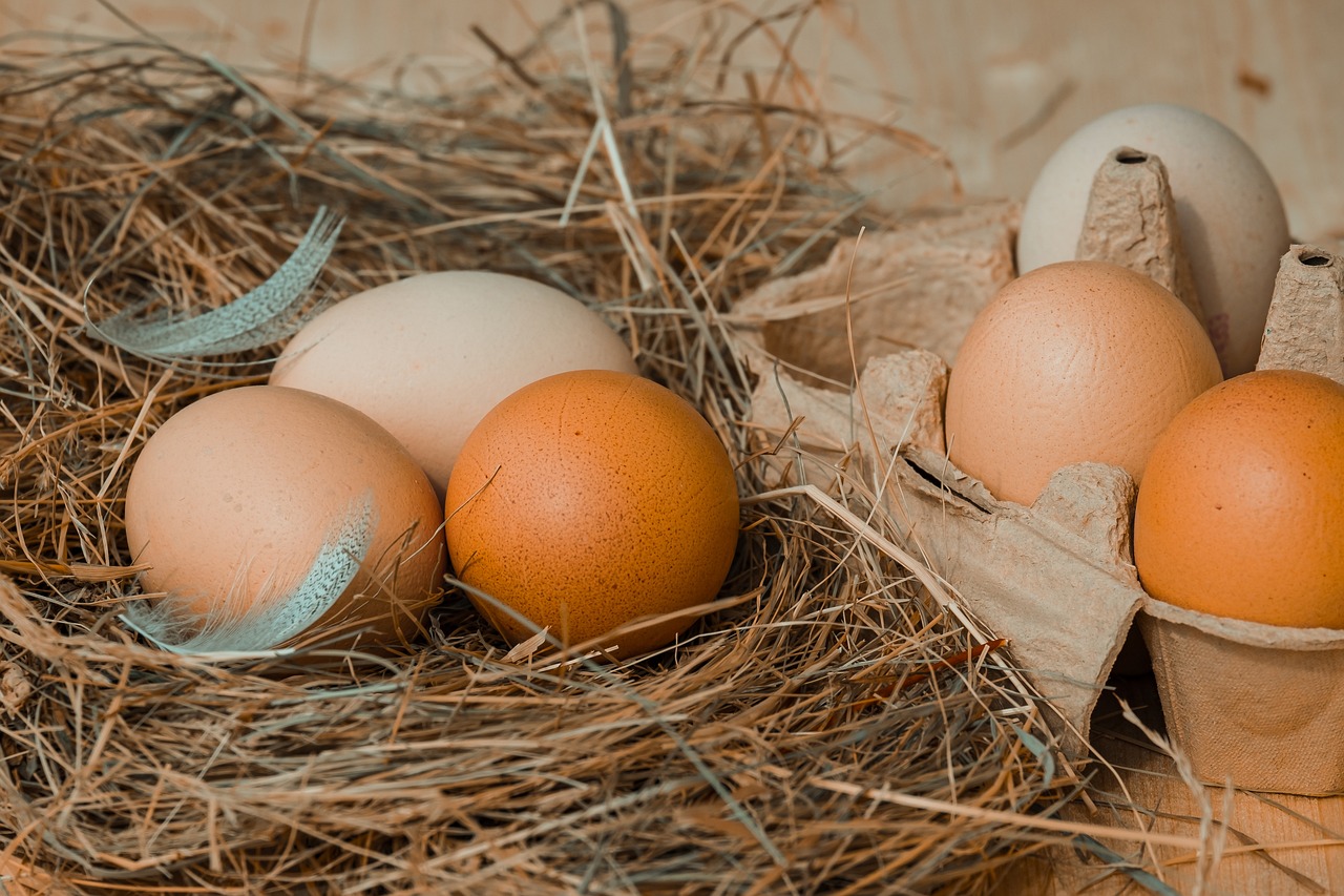 Як обирати яйця, щоб не наткнутися на несвіжі