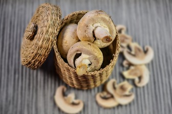 Замораживание шампиньонов: как хранить грибы, чтобы они не потеряли вкус