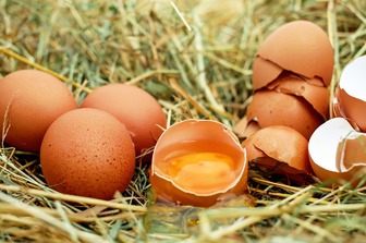 Небезпека вживання сирих яєць: чому варто двічі подумати перед тим, як їх їсти