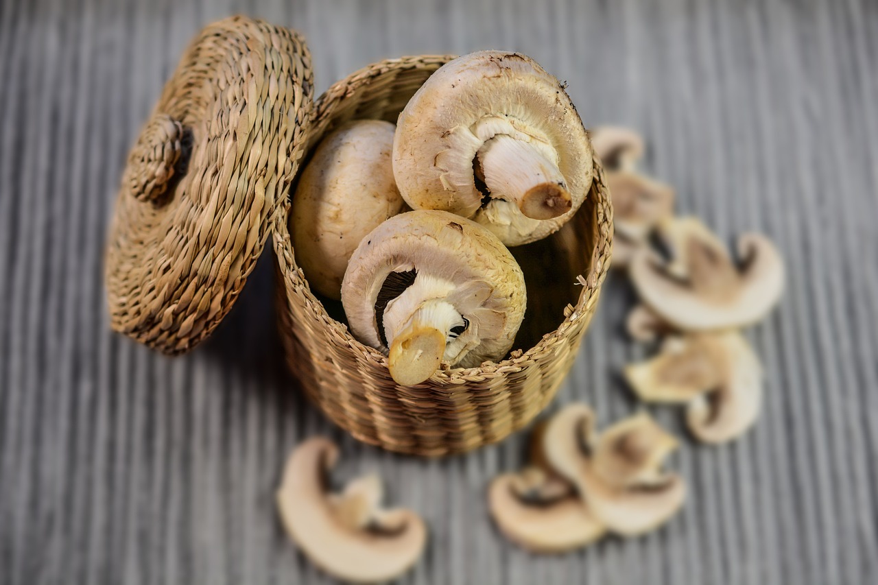 Заморожування шампіньйонів: як зберігати гриби, щоб вони не втратили смак