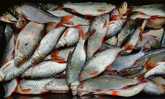 Як швидко і безпечно почистити рибу від луски: 2 лайфхаки