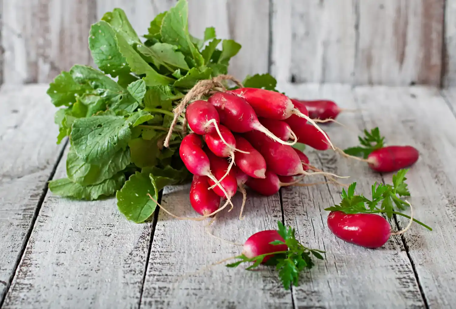 Как выбрать вкусный и качественный редис на рынке без нитратов