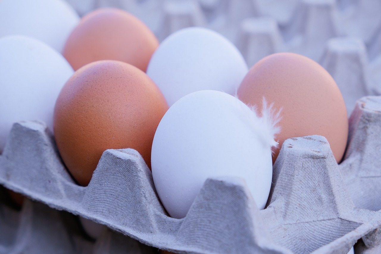 Сколько и как хранить яйца: простые правила и лайфхаки