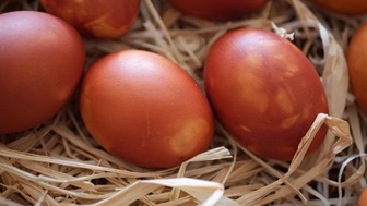 Идеальные пасхальные яйца: секреты безупречной варки яиц