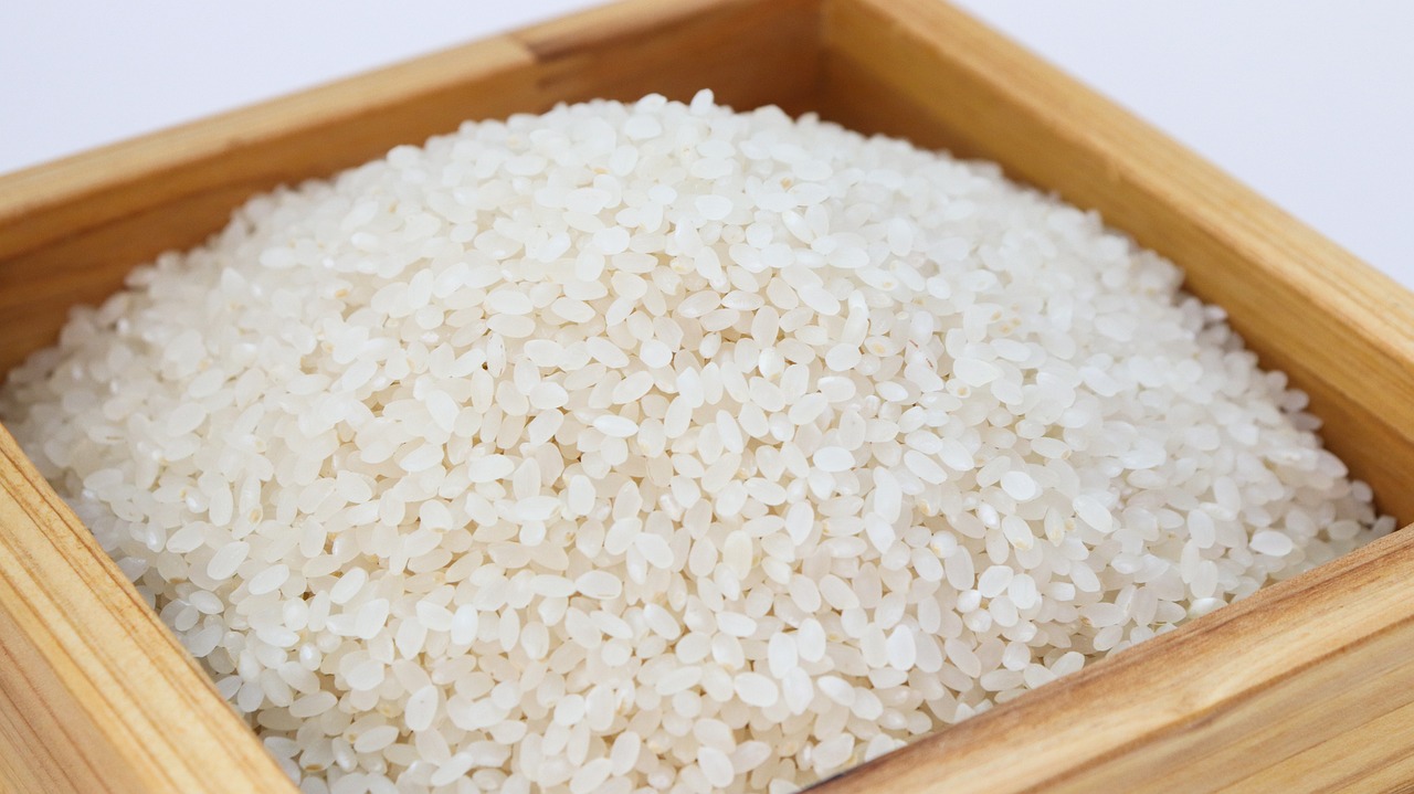 Рисовая монодиета: альтернативы и риски