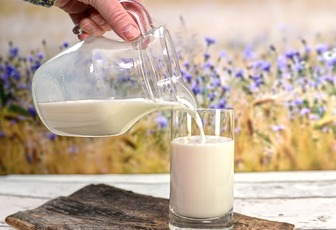 Воздействие молока на организм: что будет, если пить его каждый день