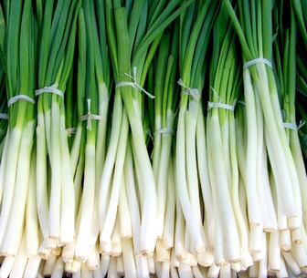 5 простых способов сохранить зеленый лук свежим