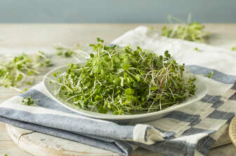 Этот овощ превзойдет шпинат: откройте для себя пользу кресс-салата