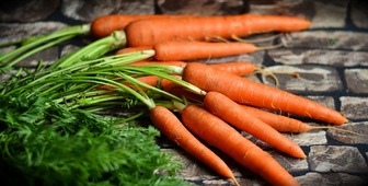 Базовий овоч: де найдешевше купити моркву