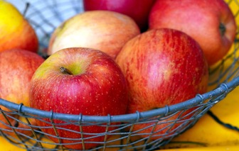 Яблука: користь, шкода та рекомендації щодо вживання