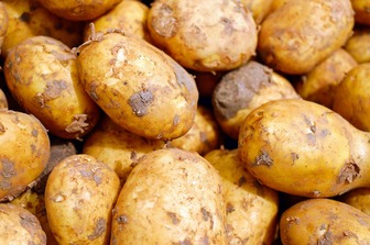 Секрети вибору молодої картоплі: смак літа на вашому столі