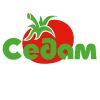 Седам